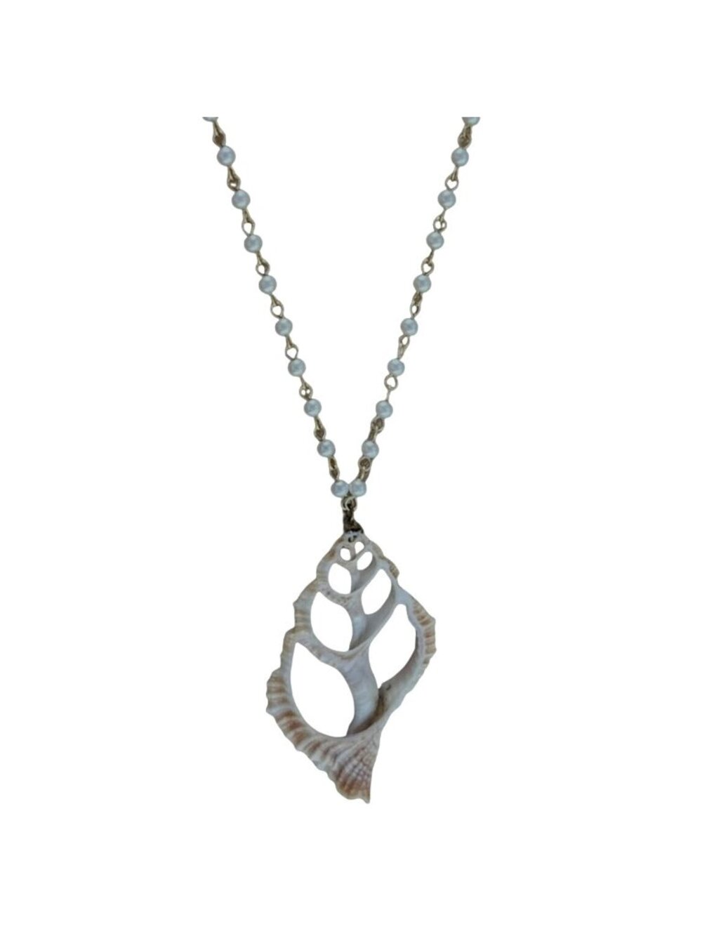 Cutaway Seashell Pendant Necklace Pale Blue Beads Coastal Mermaidcore Beachcore